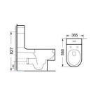   ( ) BelBagno Picanto