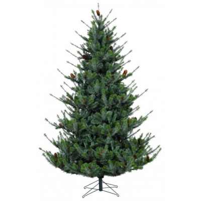   Black Box   155  -      - "  "