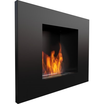   Kratki Quat-Pro -      - "  "