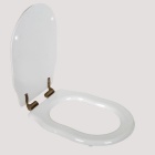 ������� ��� ���������� ������� TW Bristol (�����/������)