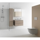     Laufen Frame 25 4085039001441