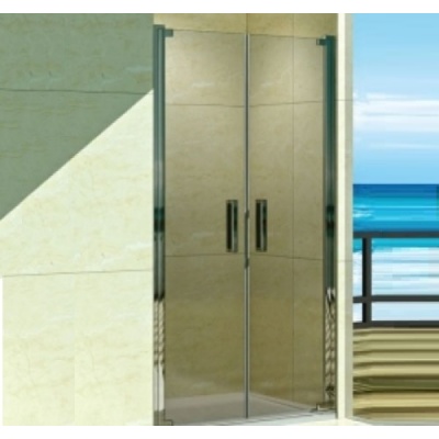 Душевая дверь WeltWasser WW 600K2-120 - купить по специальной цене в интернет-магазине "Уют в доме"